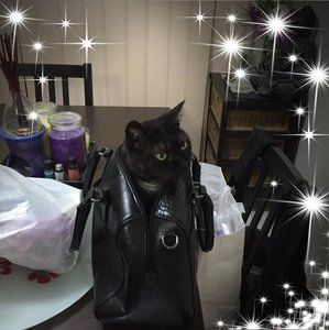 Meet your Posher, Kylie